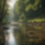 A serene river view perfect for fly fishing near Dallas