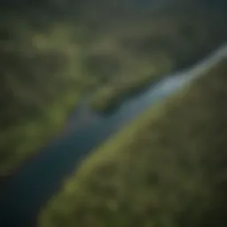 Aerial view showcasing the lush greenery and diverse ecosystems in the Great Bear Rainforest