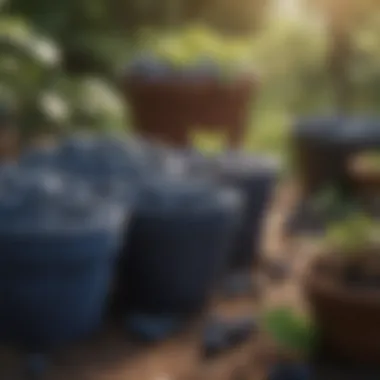 Choosing the Right Pots for Blueberry Growth A selection of pots ideal for blueberry cultivation
