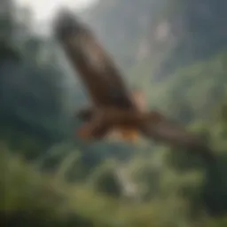 A hawk soaring above a lush landscape