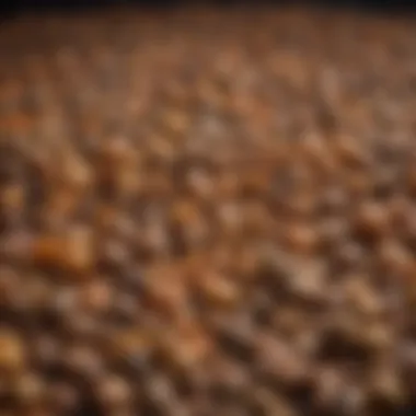 High-Quality Ingredients in Hepatic Dog Food A detailed view of high-quality ingredients used in hepatic canned dog food