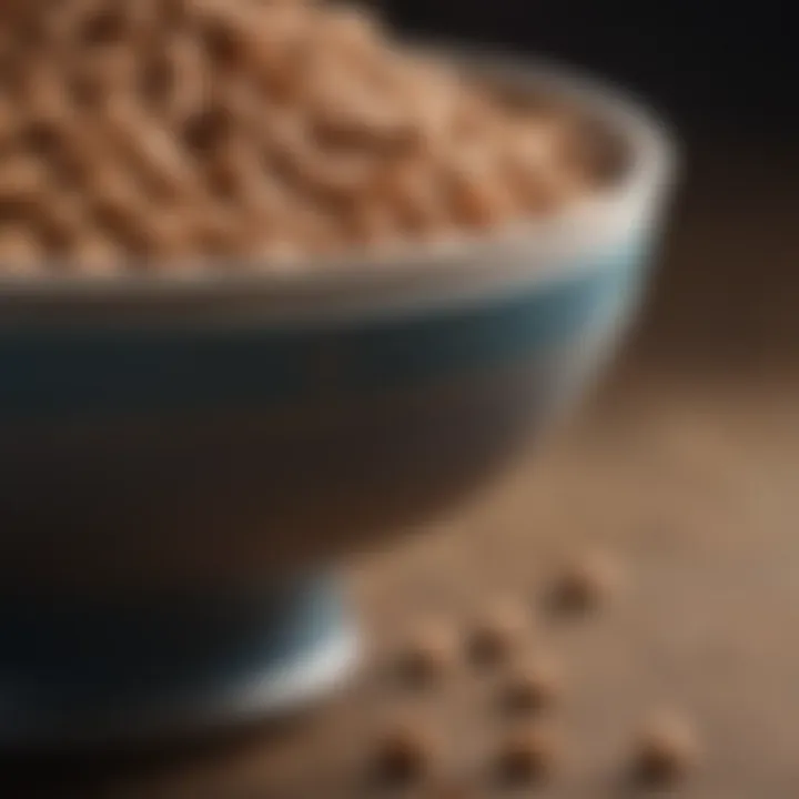 A close-up of a bowl with high-quality dog food