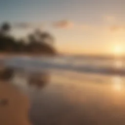 A serene beach at sunrise, showcasing the calm waters ideal for fishing.