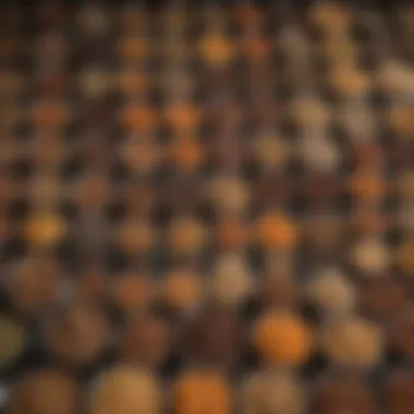 Various types of dog food displayed for selection