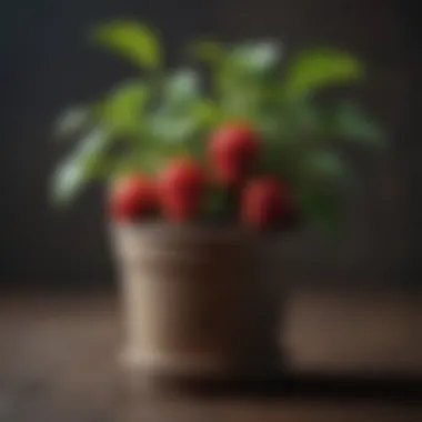 A healthy strawberry plant thriving in a pot, demonstrating optimal growth and care techniques.