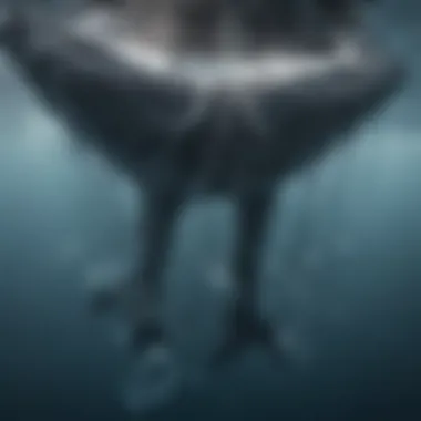 Unique Communication: Bubble Nets of Humpback Whales Underwater view of humpback whales communicating through bubble nets