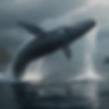 Conservation of Humpback Whale Habitats Conservation efforts depicted in a vibrant ocean habitat with humpback whales