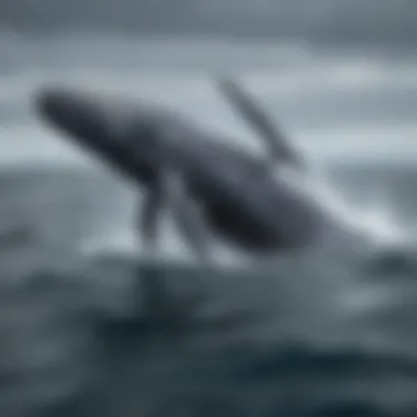 Migration Patterns of Humpback Whales A stunning illustration of humpback whale migration patterns across the ocean