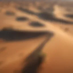 Stunning aerial view of the Kalahari Desert showcasing vast sand dunes and sparse vegetation.