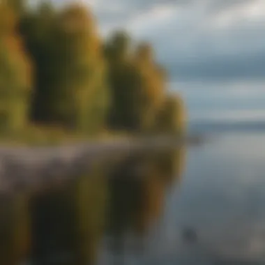 Vibrant ecosystems around the shores of Lake Champlain teeming with wildlife