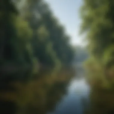 Ecological features of Lake Norman, displaying lush greenery and wildlife habitat, emphasizing the importance of environmental conservation.