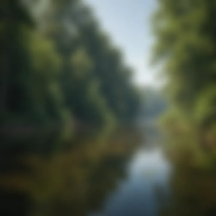Ecological features of Lake Norman, displaying lush greenery and wildlife habitat, emphasizing the importance of environmental conservation.