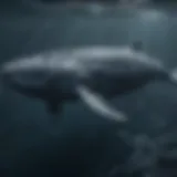 A majestic blue whale swimming gracefully in deep ocean waters, showcasing its massive size.