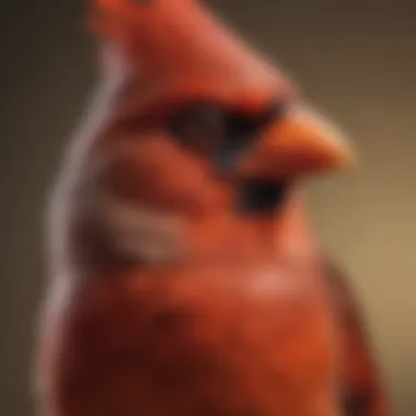 A close-up view of a cardinal bird's distinct features, highlighting its sharp beak and expressive eyes.