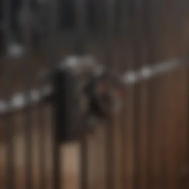 Secure Locking Mechanism of MyPet Gate Close-up of MyPet gate showcasing its secure locking mechanism