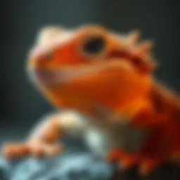 Nutritional Considerations for Bearded Dragons Introduction