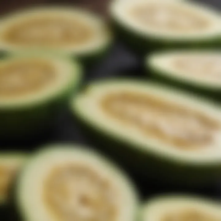 Fresh zucchini sliced for canine nutrition