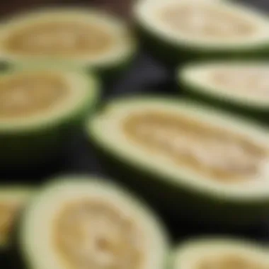 Fresh Zucchini Slices for Dog Nutrition Fresh zucchini sliced for canine nutrition