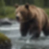 A majestic bear fishing in a river surrounded by lush Alaskan wilderness