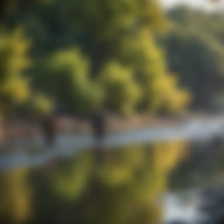 Angler casting a line in a vibrant river setting