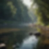 Scenic view of a tranquil river with fishing rods