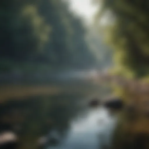 Scenic view of a tranquil river with fishing rods