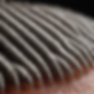 Close-up of a shedding comb's teeth, showcasing its design for different coat types.