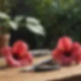 Pruning tools arranged on a wooden table