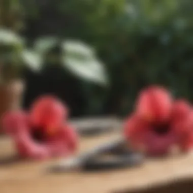 Essential Pruning Tools for Hibiscus Care Pruning tools arranged on a wooden table