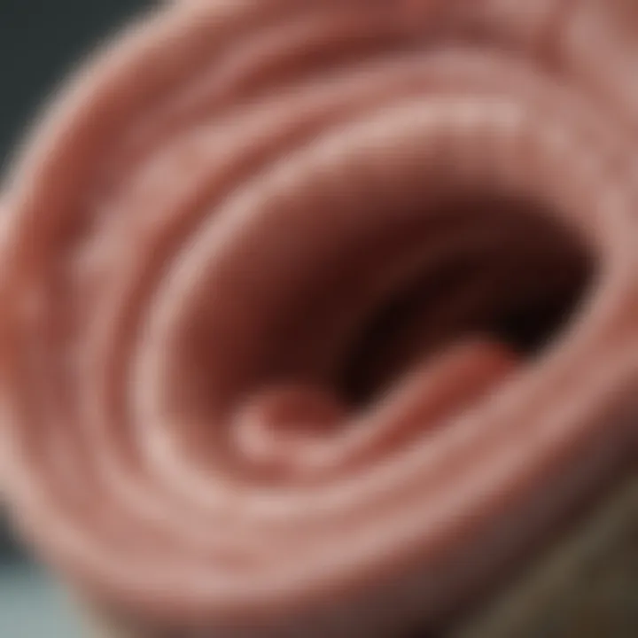 Close-up of puppy's healthy digestive system