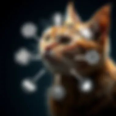 Diagram showing the life cycle of the ringworm fungus