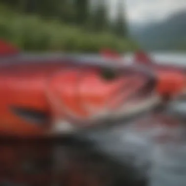 Sustainable Fishing Techniques for Sockeye Salmon Sustainable fishing practices in Alaskan waters