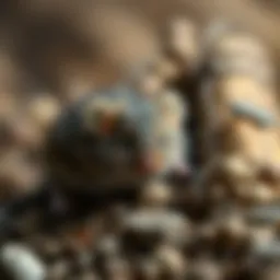 Strategies for Deterring Mice: Practical Approaches Introduction