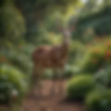 Deer-Resistant Plants in a Vibrant Garden Lush garden showcasing deer-resistant plants