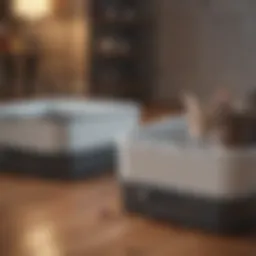 Various types of litter boxes arranged for comparison