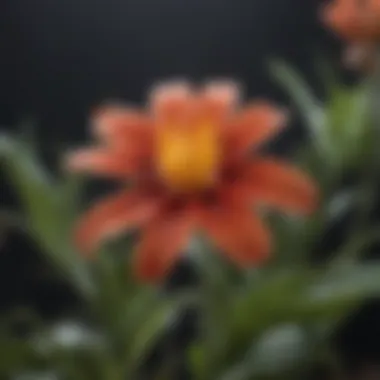 Artistic representation of the national flower in folklore