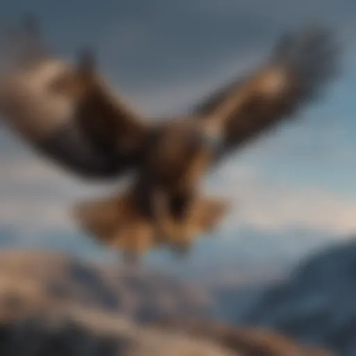 Golden eagle soaring majestically in the sky