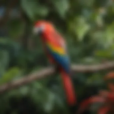 A vibrant Scarlet Macaw perched on a branch amidst lush foliage, showcasing its radiant red plumage.