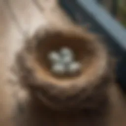 A close-up view of a bird's nest built on the edge of a porch.