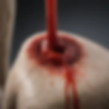 A close-up view of a dog's stool showing fresh blood