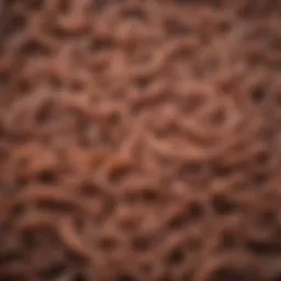 Visual representation of various intestinal worms