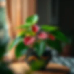 Vibrant pothos plant in a decorative pot