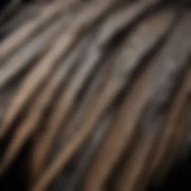 A close-up view of a crane showcasing its intricate feather patterns.