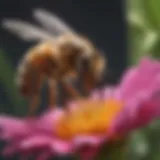 A close-up view of a honey bee on a vibrant flower, showcasing the pollination process.