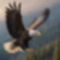 Bald eagle soaring gracefully in the sky