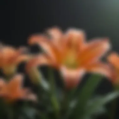 Ecological Role of Live Lilies An educational diagram illustrating the ecological role of live lilies within their ecosystems.