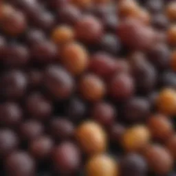 A close-up of raisins highlighting their texture