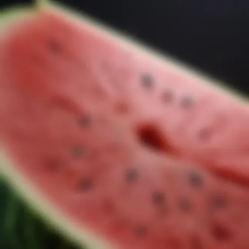 A vibrant watermelon slice revealing its juicy interior.
