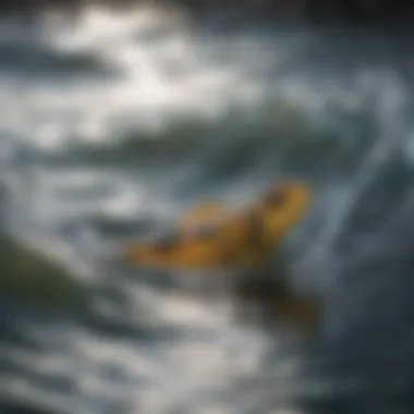 Ecological Importance of Whirlpool Water A close-up view of aquatic life thriving in a whirlpool ecosystem, highlighting biodiversity.