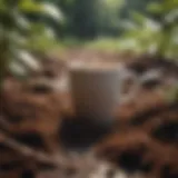 Sustainable gardening with coffee grounds